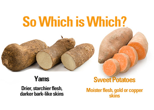 Yam vs Sweet Potato