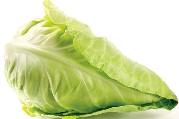 Pointy Cabbage