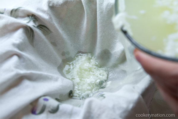 Gently pour the mixture into cheesecloth or other clean cloth.